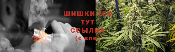 дмт Каменка