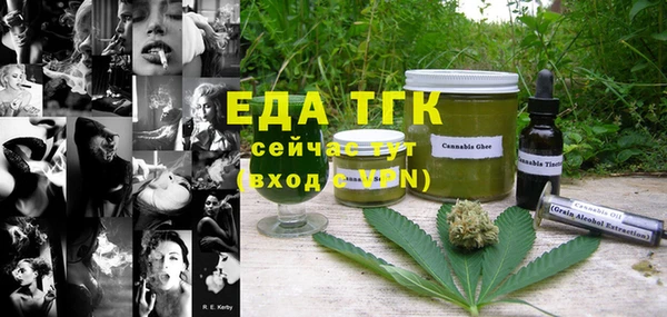 дмт Каменка