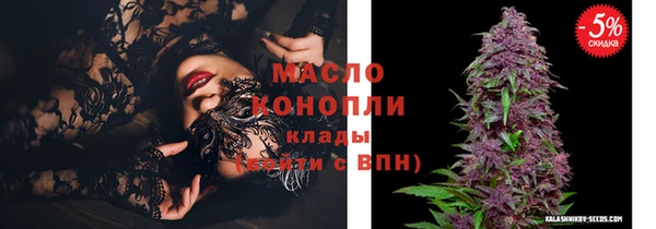 ПСИЛОЦИБИНОВЫЕ ГРИБЫ Дмитриев