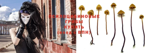 дмт Каменка
