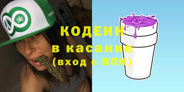 дмт Каменка