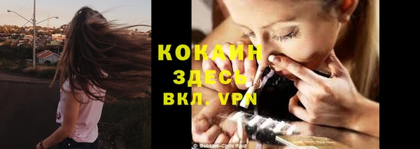 дмт Каменка