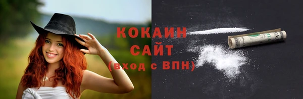 ПСИЛОЦИБИНОВЫЕ ГРИБЫ Дмитриев