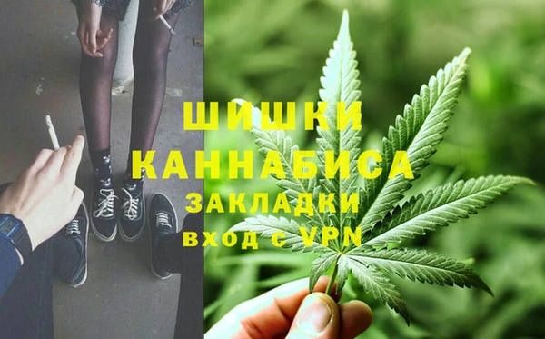 ПСИЛОЦИБИНОВЫЕ ГРИБЫ Дмитриев