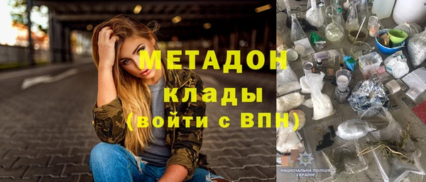 ПСИЛОЦИБИНОВЫЕ ГРИБЫ Дмитриев