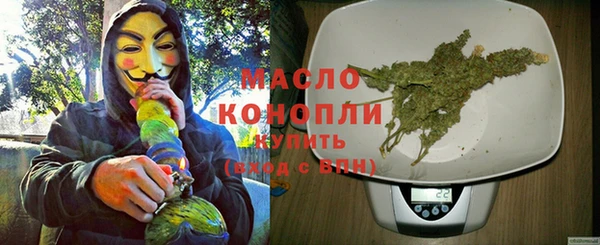 дмт Каменка