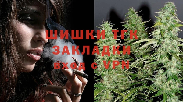 дмт Каменка