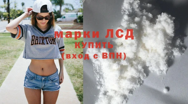 ПСИЛОЦИБИНОВЫЕ ГРИБЫ Дмитриев