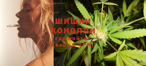 дмт Каменка