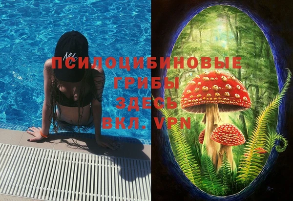 дмт Каменка