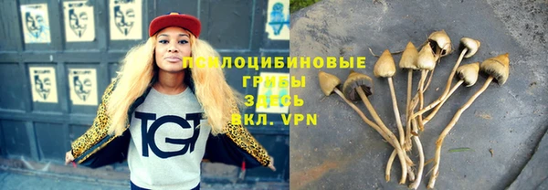 ПСИЛОЦИБИНОВЫЕ ГРИБЫ Дмитриев