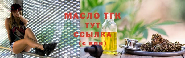 ПСИЛОЦИБИНОВЫЕ ГРИБЫ Дмитриев