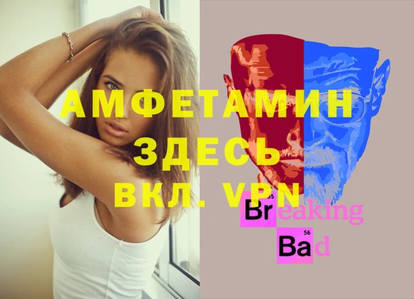 дмт Каменка