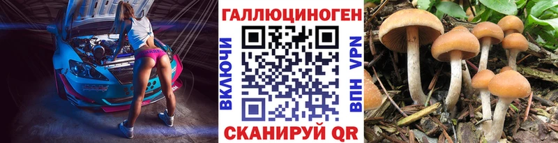 Галлюциногенные грибы прущие грибы  Пятигорск 