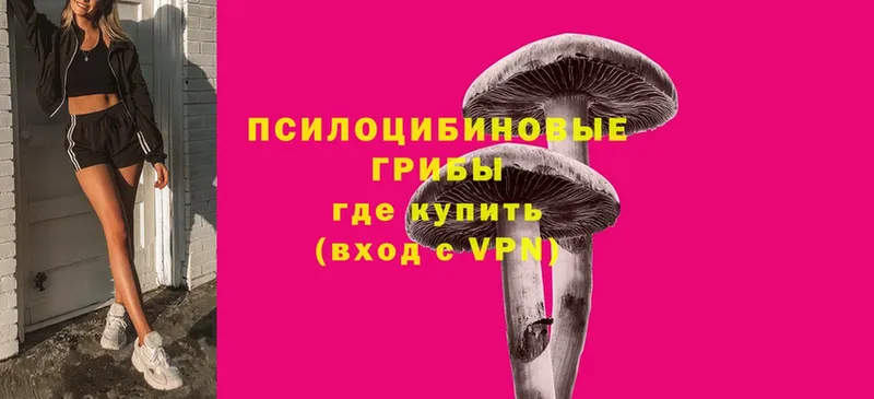 как найти   Пятигорск  Псилоцибиновые грибы ЛСД 